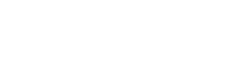 pinnacle partner logo, e plus e